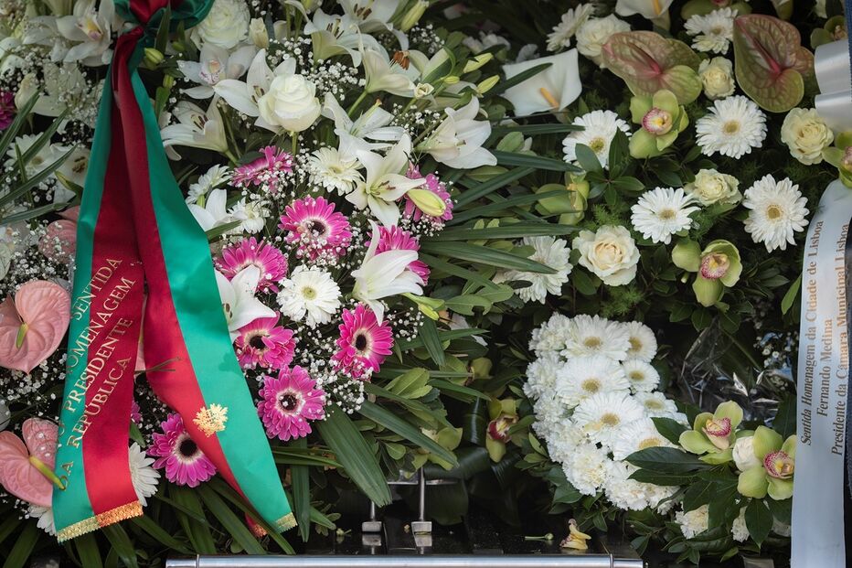 /fotosgeral/Fotos/2-38079612 (8959706).jpg (8960026) (Milenium)