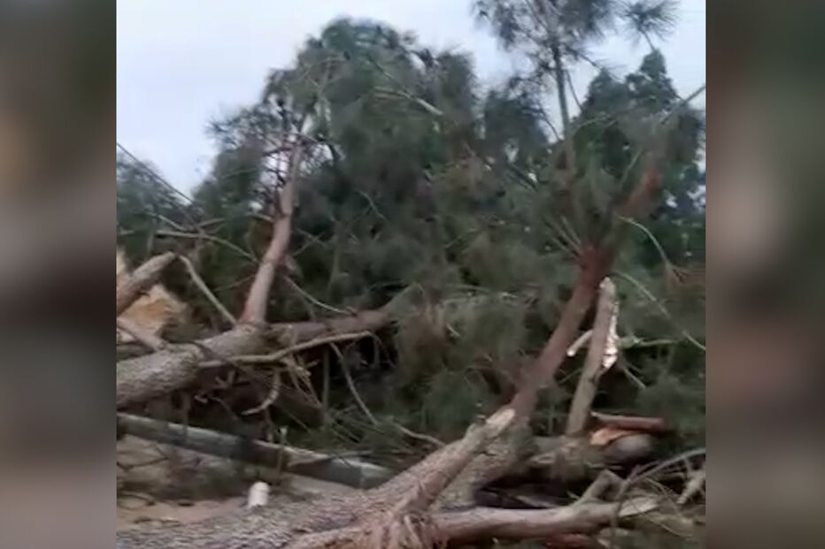 2021-02-20_11_28_40 Sequence 01.00_00_05_02.Still001.jpg