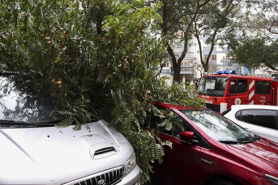Proteção Civil registou 526 ocorrência entre as 16h00 de domingo e as 07h00 desta segunda-feira