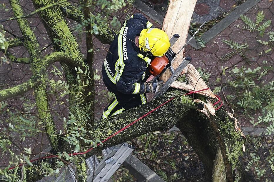 Proteção Civil regista 166 ocorrências e alerta para 