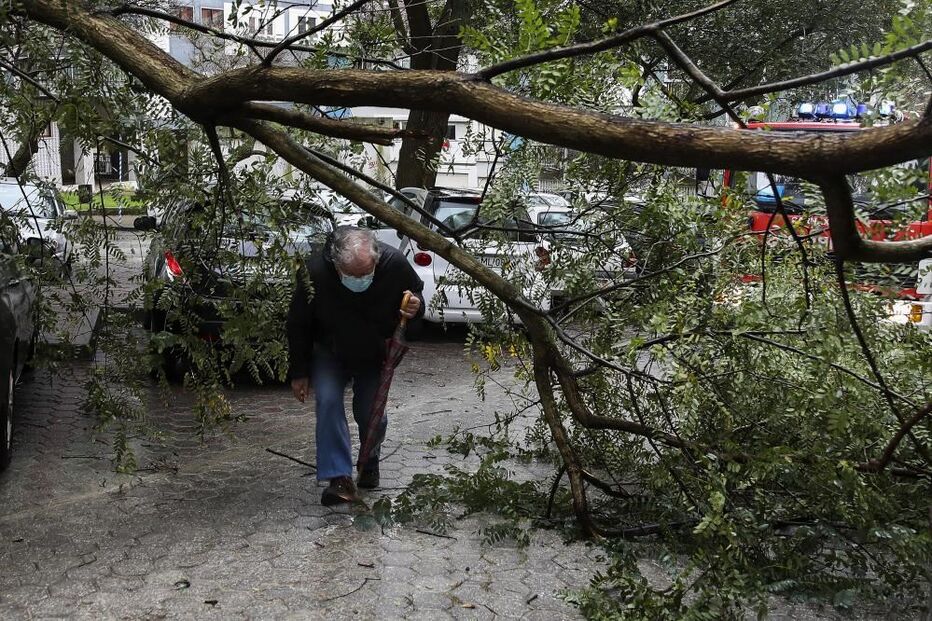 Proteção Civil regista 166 ocorrências e alerta para 