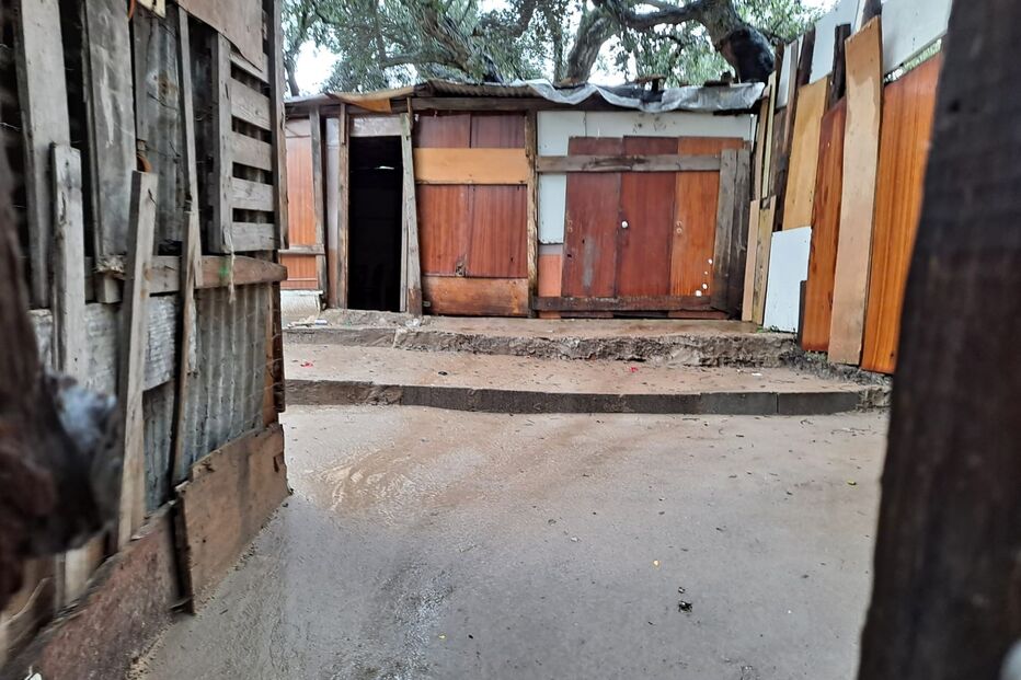 Imagem BF27C5CE-7E09-4D8E-BFDB-220E70DA5DAF.JPG (8969926) (Milenium)