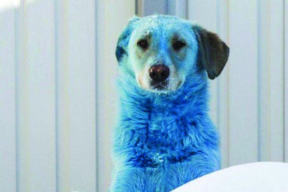 Imagem Mundo Louco.jpg (8970809) (Milenium)