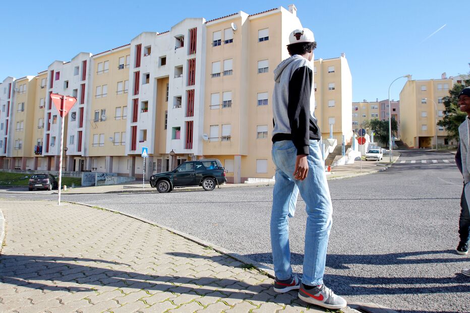 Imagem _VMO3447.JPG (8969485) (Milenium)