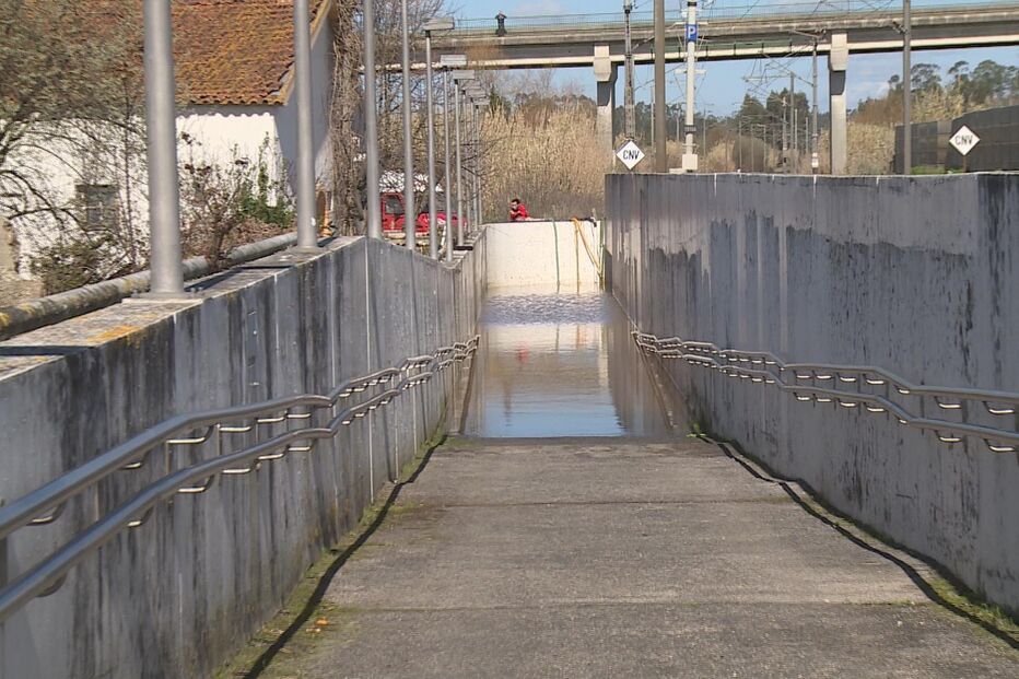 Imagem STILL0222_00000.JPG (8978790) (Milenium)