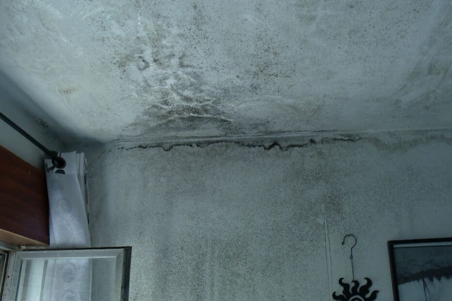 Imagem FOTO TETO CASA.JPG (8982036) (Milenium)