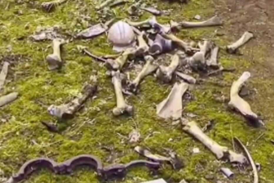 Descobre pilha de restos mortais e algemas em Chernobyl ao navegar no Google Maps