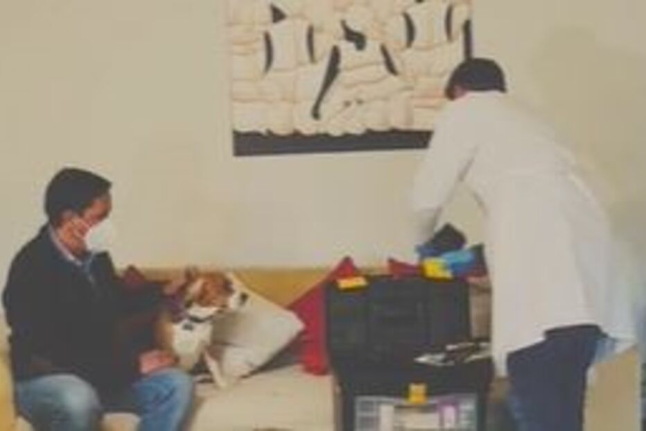 Veterinário ao domicílio