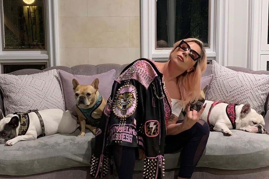 Homem que roubou cães de Lady Gaga condenado a 21 anos e 22 meses de prisão
