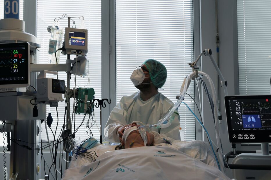 coronavírus, internamentos, portugal