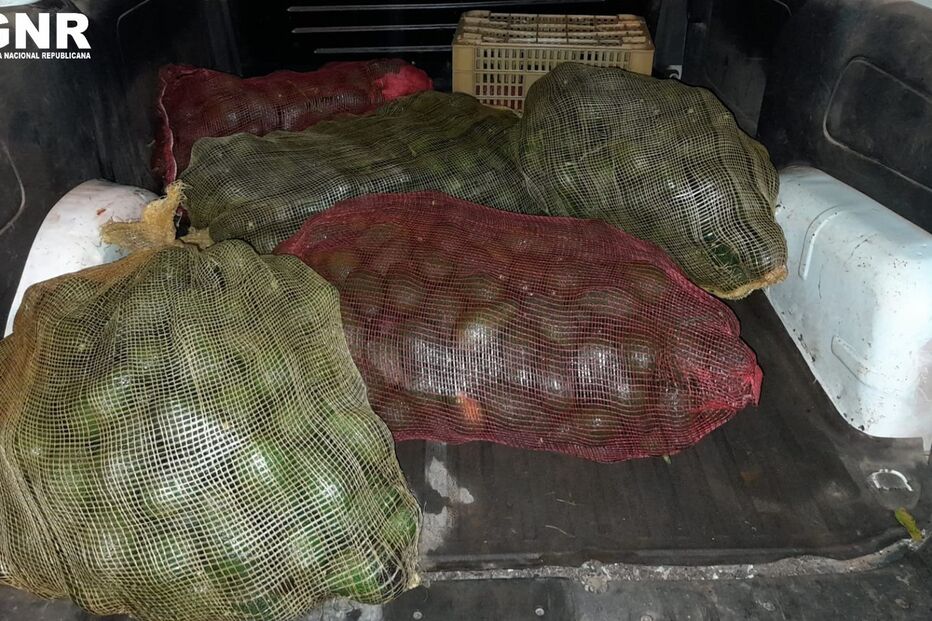 Imagem GNR FARO - APREENSÃO.JPG (9033714) (Milenium)