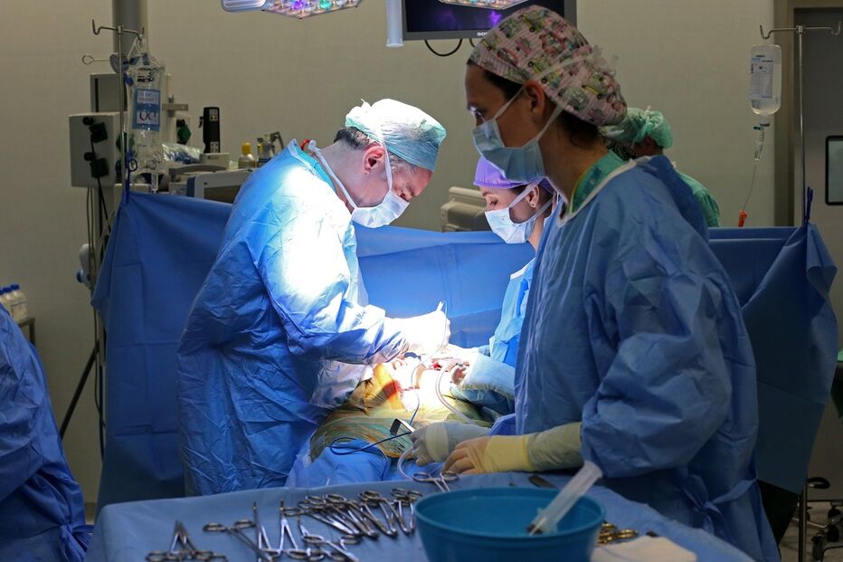 Imagem DAM_8449.JPG (9033501) (Milenium)