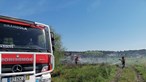 Incêndio consome área de mato no Carvalhal, em Grândola