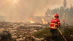 Portugal com mais de 1200 fogos e 5477 hectares de área ardida desde início do ano