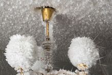 2021-03-02_11_47_22 GettyImages-1231450334.jpg