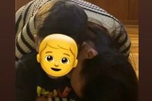 Rita Ferro Rodrigues e o pequeno Eduardo