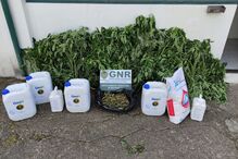 GNR desmantela rede de tráfico de droga em Vila do Conde