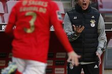 /fotosgeral/Fotos/2-38325570 (9192205) (Milenium)