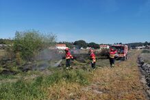 Incêndio consume área de mato no Carvalhal, em Grândola