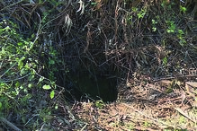 Homem cai em poço coberto de silvas em Penela