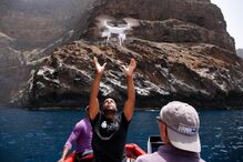 Drone português conta alcatrazes na inacessível Baía do Inferno em Cabo Verde