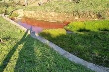 Descarga poluente em ribeira de Santo Tirso