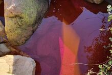 Descarga poluente em ribeira de Santo Tirso