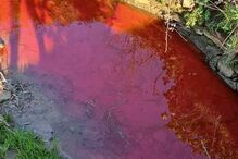 Descarga poluente em ribeira de Santo Tirso