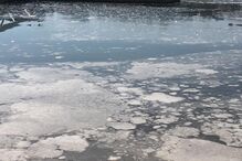 Descarga para o Douro dá queixa por crime ambiental