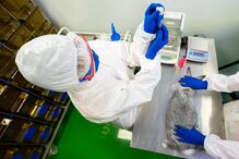 Rússia aprova primeira vacina da Covid-19 para animais