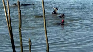 Bombeiros tentam resgatar dois familiares afogados no Rio Tâmega em Celorico de Basto