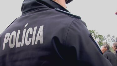 Homem encontrado morto em zona agrícola em Montemor-o-Velho