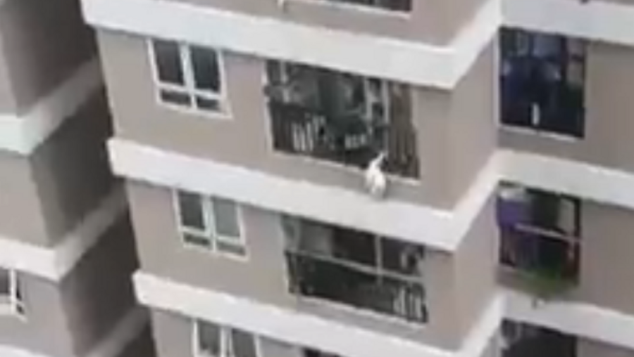 Menina de dois anos sobrevive a queda do 12º andar