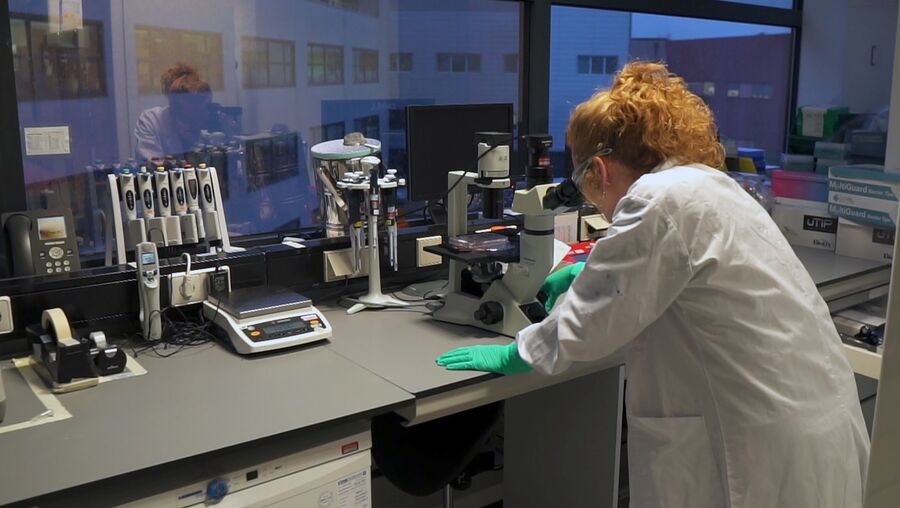 Pandemia do novo coronavírus parece inaugurar uma nova época nas áreas da investigação científica e médica