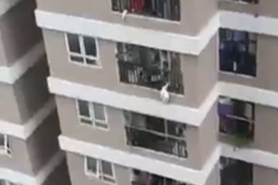 Menina de dois anos sobrevive a queda do 12º andar