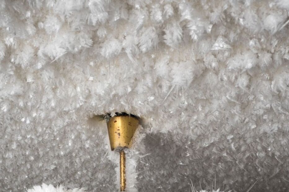 2021-03-02_11_47_22 GettyImages-1231450334.jpg