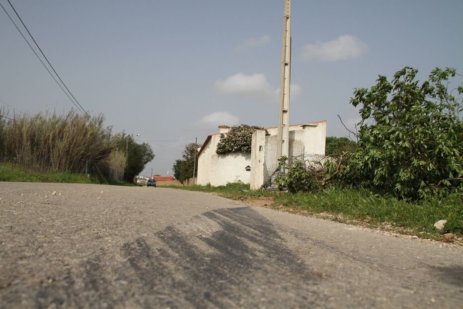 Imagem IMG_1984.JPG (9072825) (Milenium)