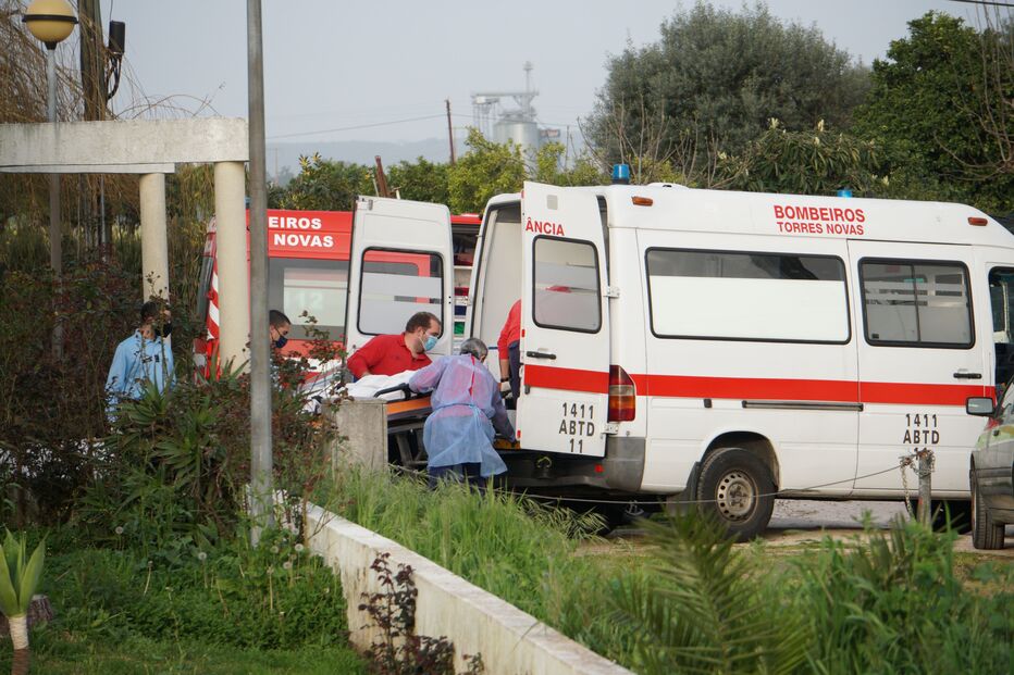 /fotosgeral/Fotos/2-38207002 (9086454) (Milenium)