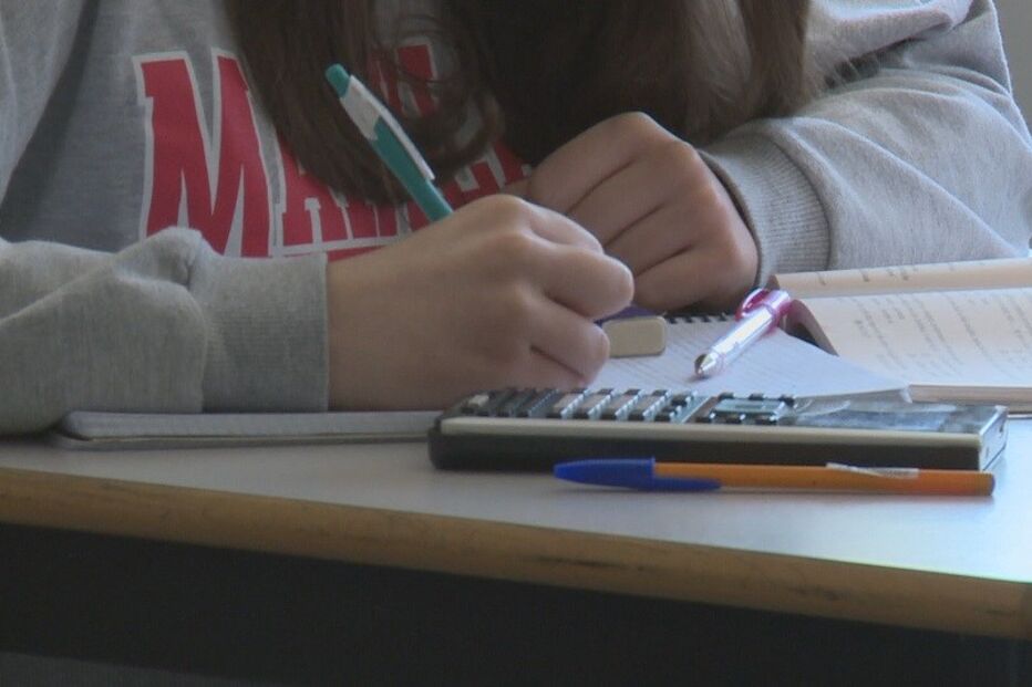 Governo aprova verba de 20 milhões de euros para testagem em massa em escolas públicas