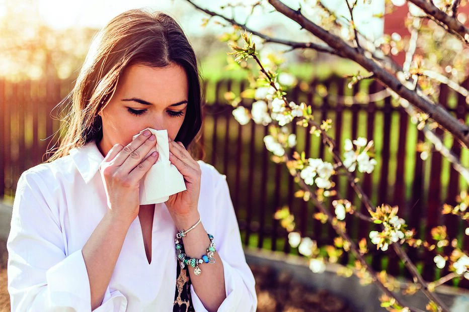 Pólen pode diminuir resposta do sistema imunitário respiratório