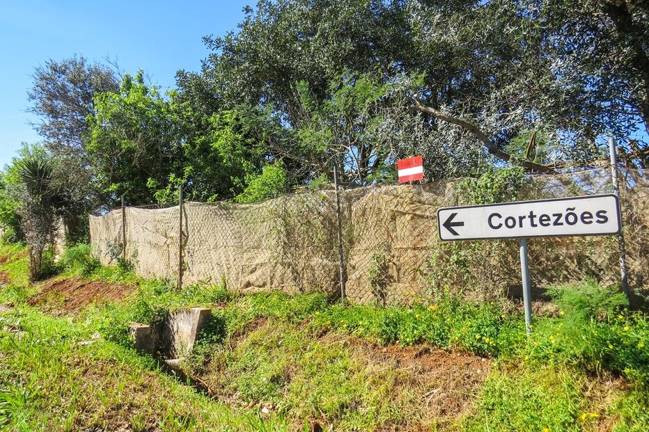 Imagem IMG_7665.JPG (9173208) (Milenium)