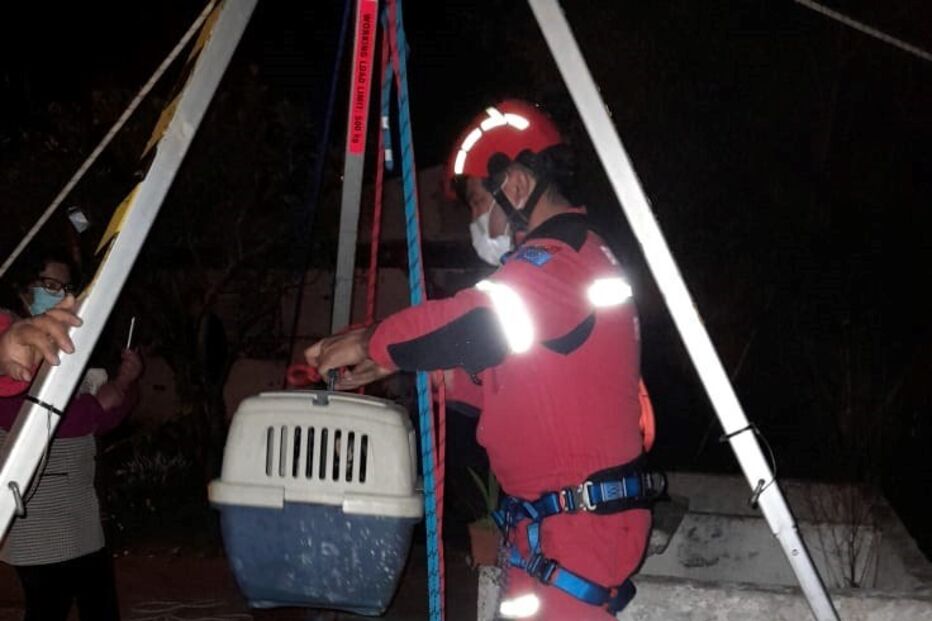 Bombeiros resgatam gato de poço em Alvalade, Santiago do Cacém