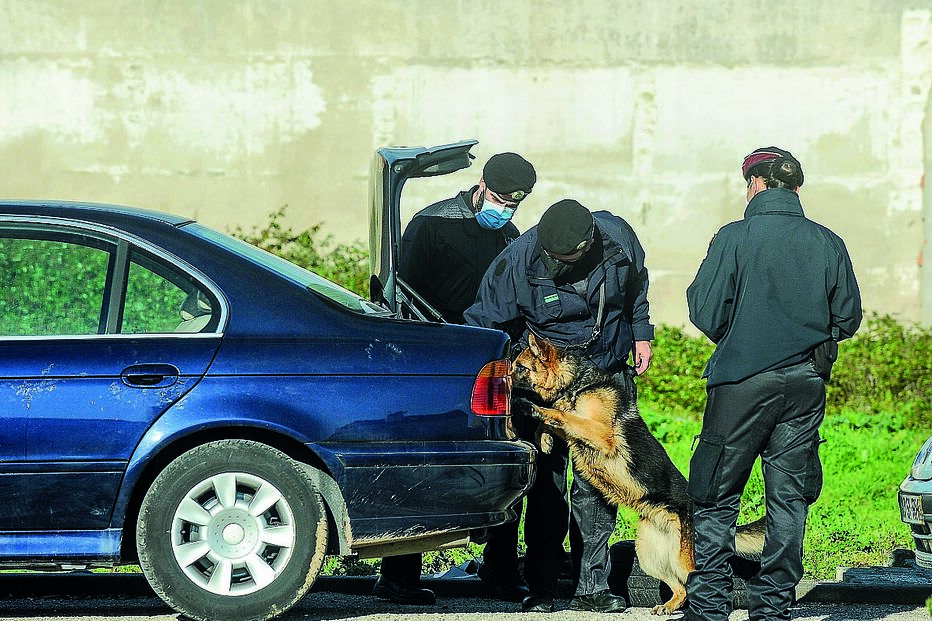Militares avançaram para as buscas com vários meios e detetaram ligações ilegais à rede elétrica   