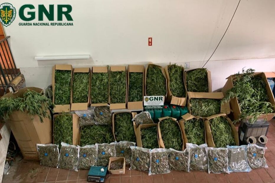 Incêndio em armazém leva GNR a desmantelar grande plantação de canábis