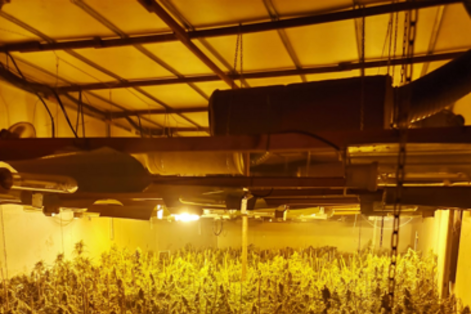 Incêndio em armazém leva GNR a desmantelar grande plantação de canábis