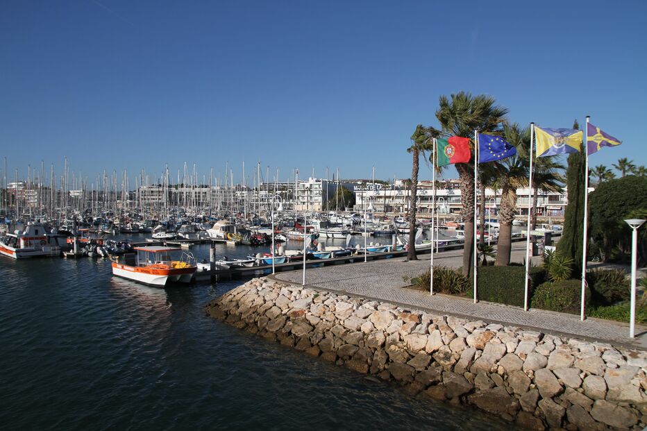 /fotosgeral/Fotos/2-38325273 (9194661) (Milenium)