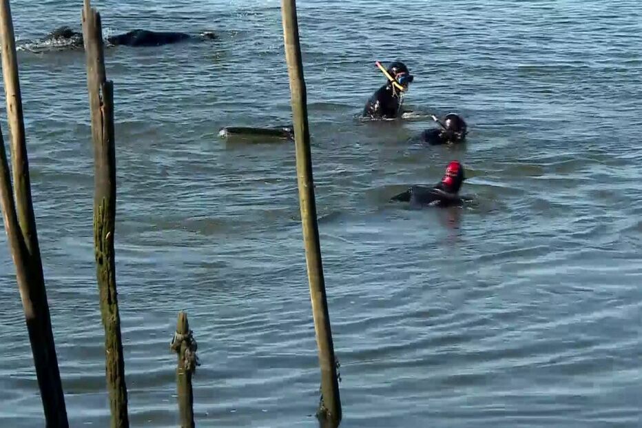 Mergulhadores realizaram buscas no rio 