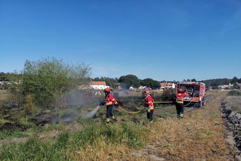 Incêndio consume área de mato no Carvalhal, em Grândola