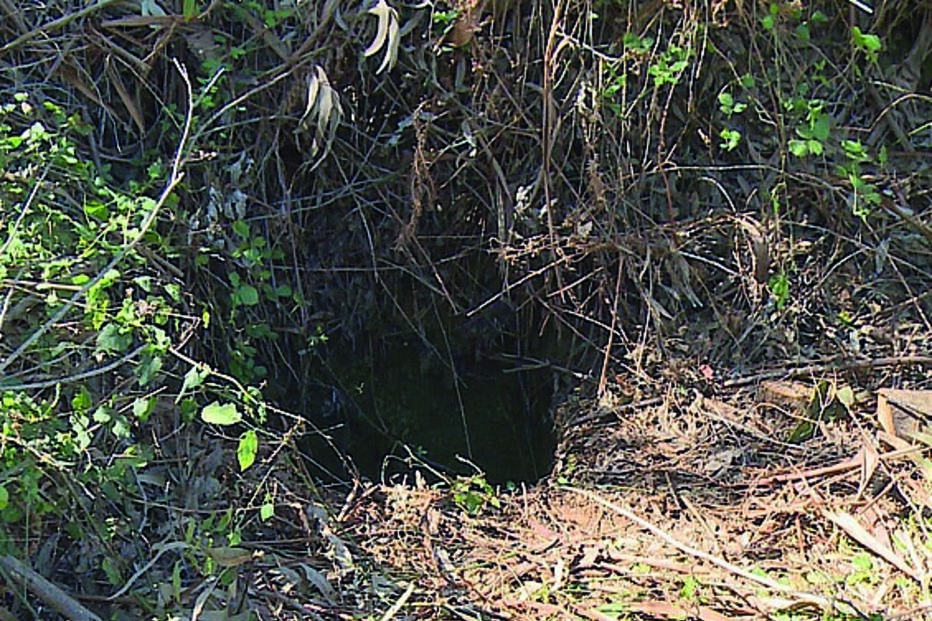 Homem cai em poço coberto de silvas em Penela