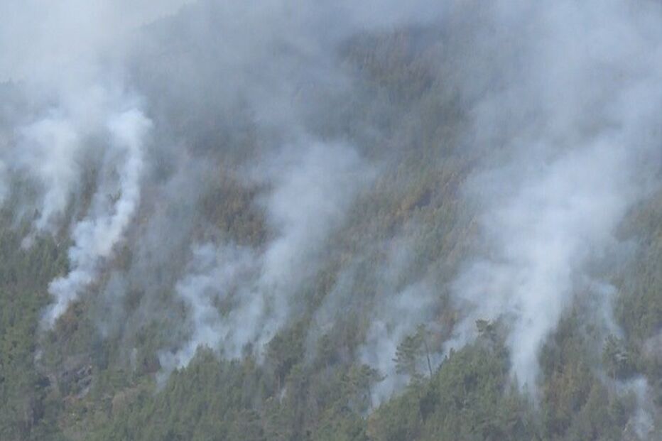 Mais de 140 operacionais e quatro meios aéreos combatem incêndio em Seia
